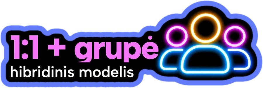 1:1 + grupė, hibridinis modelis